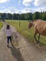 Vacances de printemps